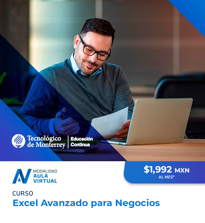 AV_fborg_Excel_avanzado_para_negocios