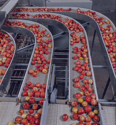 Tec Monterrey Image 3 (1)