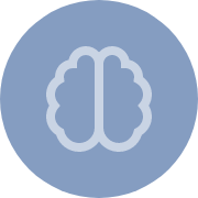 cerebro1