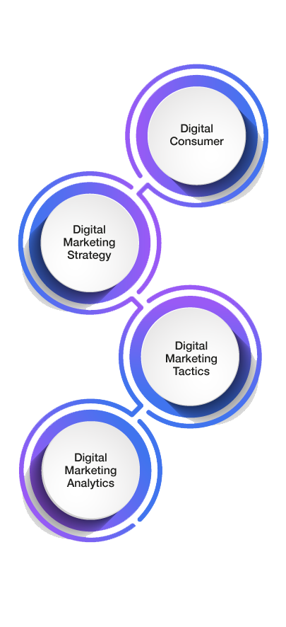 tlg_Digital-Marketing-Strategist_trayectoria_vertical-1