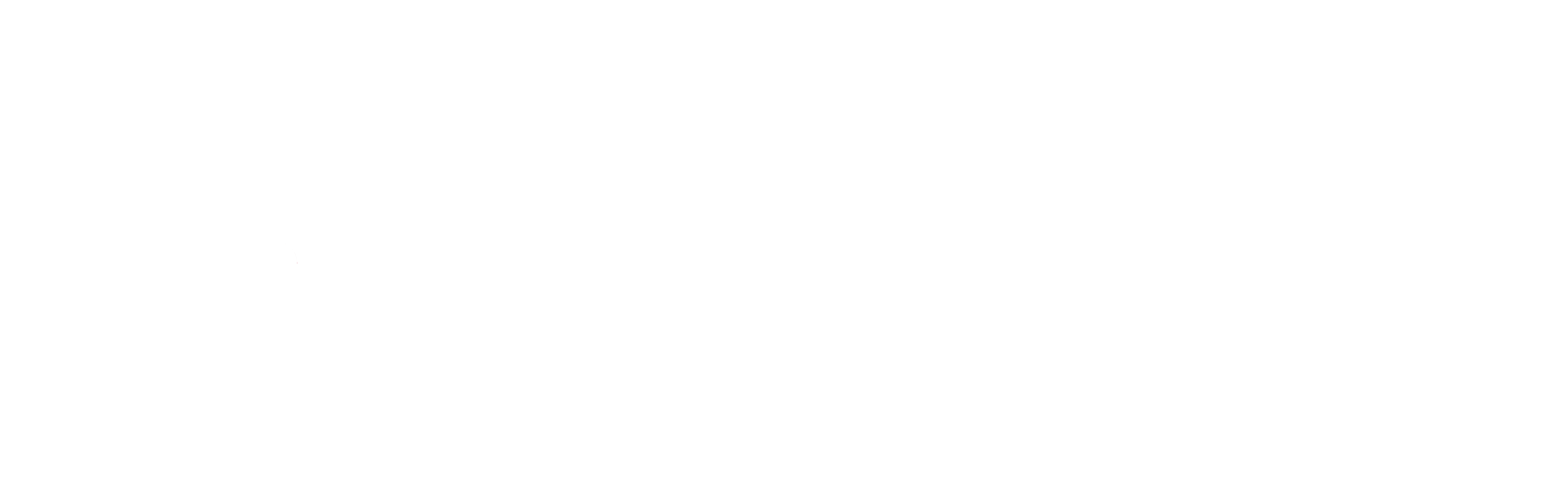 Logo ProInnovate_blanco